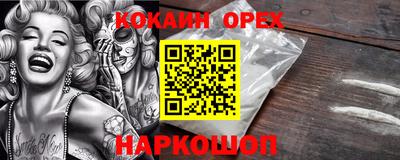 гашик Пыть-Ях