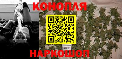 гашик Пыть-Ях