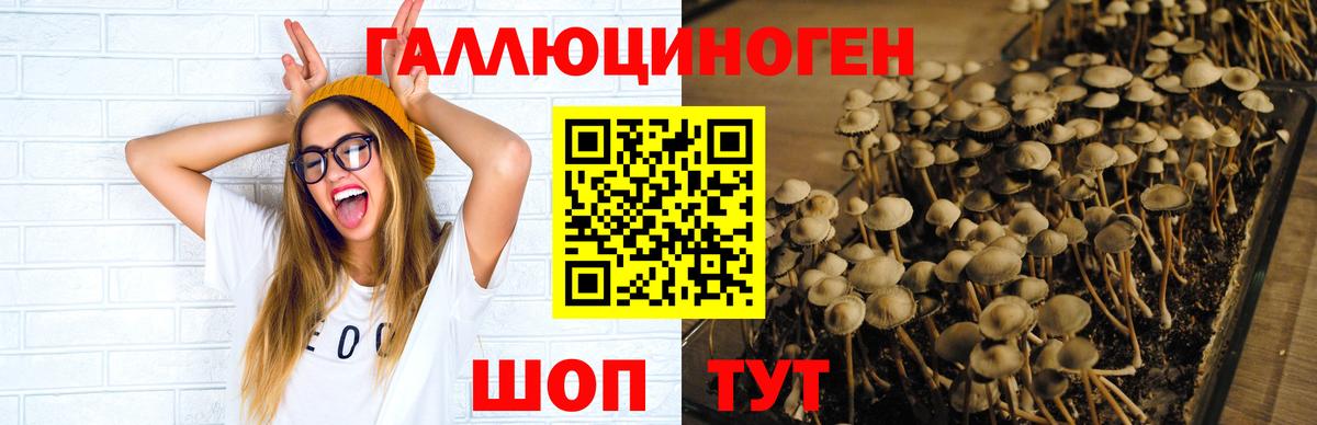 Сибай  Псилоцибиновые грибы Magic Shrooms  Вход с VPN 